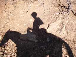 Silhouette of horse and rider on trail leaving Harlan
